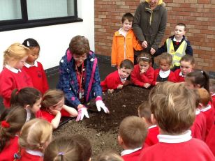 Primary Two Plant Bulbs!